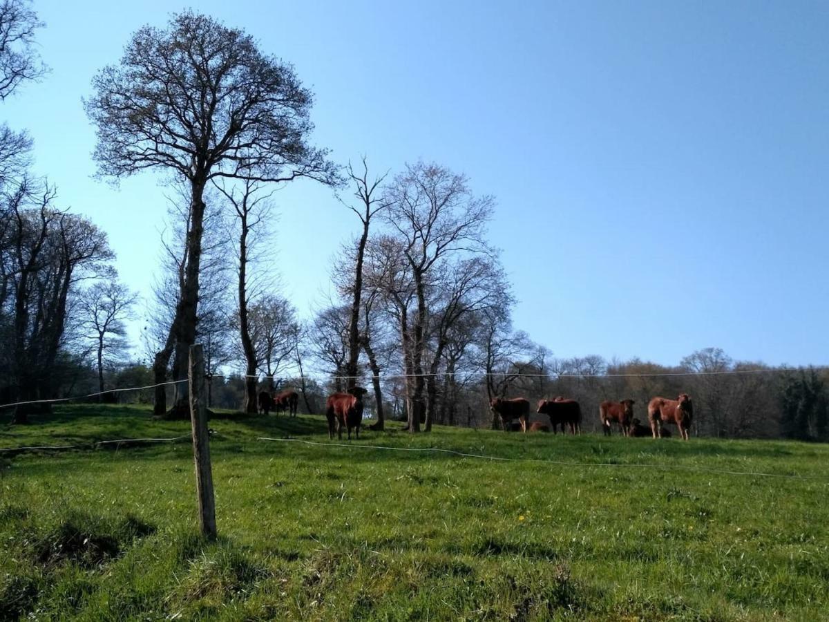 Gite Le Valet, T2 Classe 3 Etoiles, Entre Rennes Et Saint-Malo Villa La Chapelle-aux-Filzméens Екстериор снимка